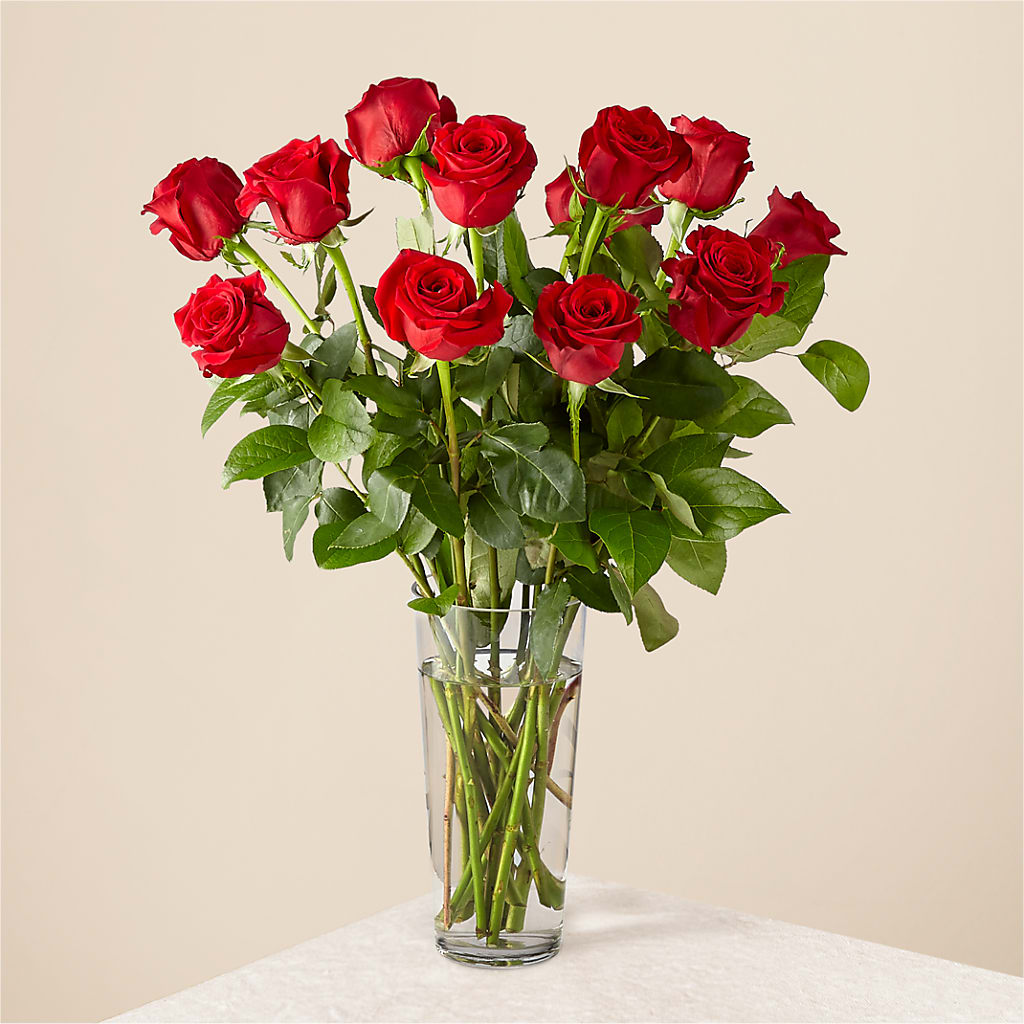 Long Stem Red Rose Bouquet – ELLA'S ESSENCE LLC, Evanston IL