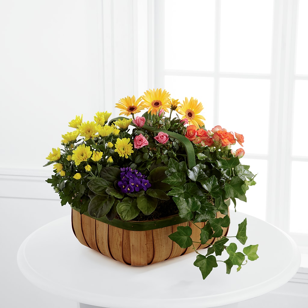 Gentle Blossoms Basket – ELLA'S ESSENCE LLC, Evanston IL