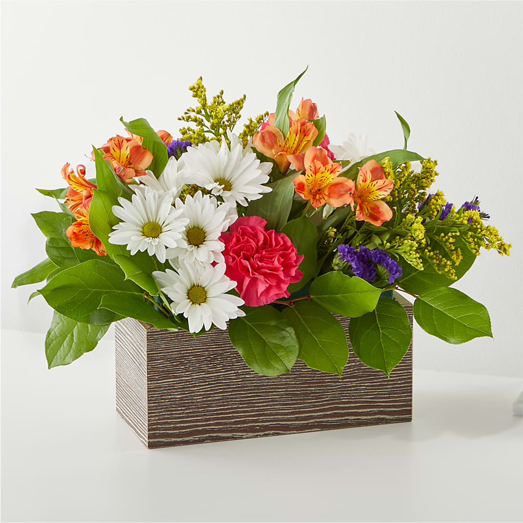 Oopsie Daisy Box Bouquet – ELLA'S ESSENCE LLC, Evanston IL