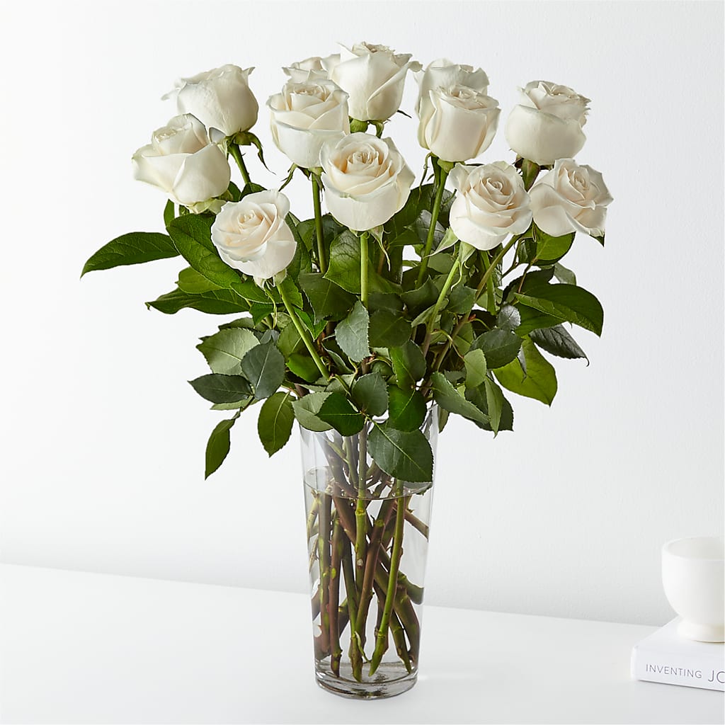 Long Stem White Rose Bouquet – ELLA'S ESSENCE LLC, Evanston IL