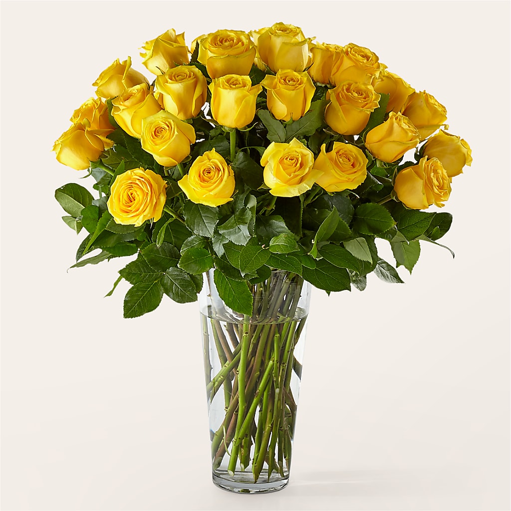 Long Stem Yellow Rose Bouquet – ELLA'S ESSENCE LLC, Evanston IL