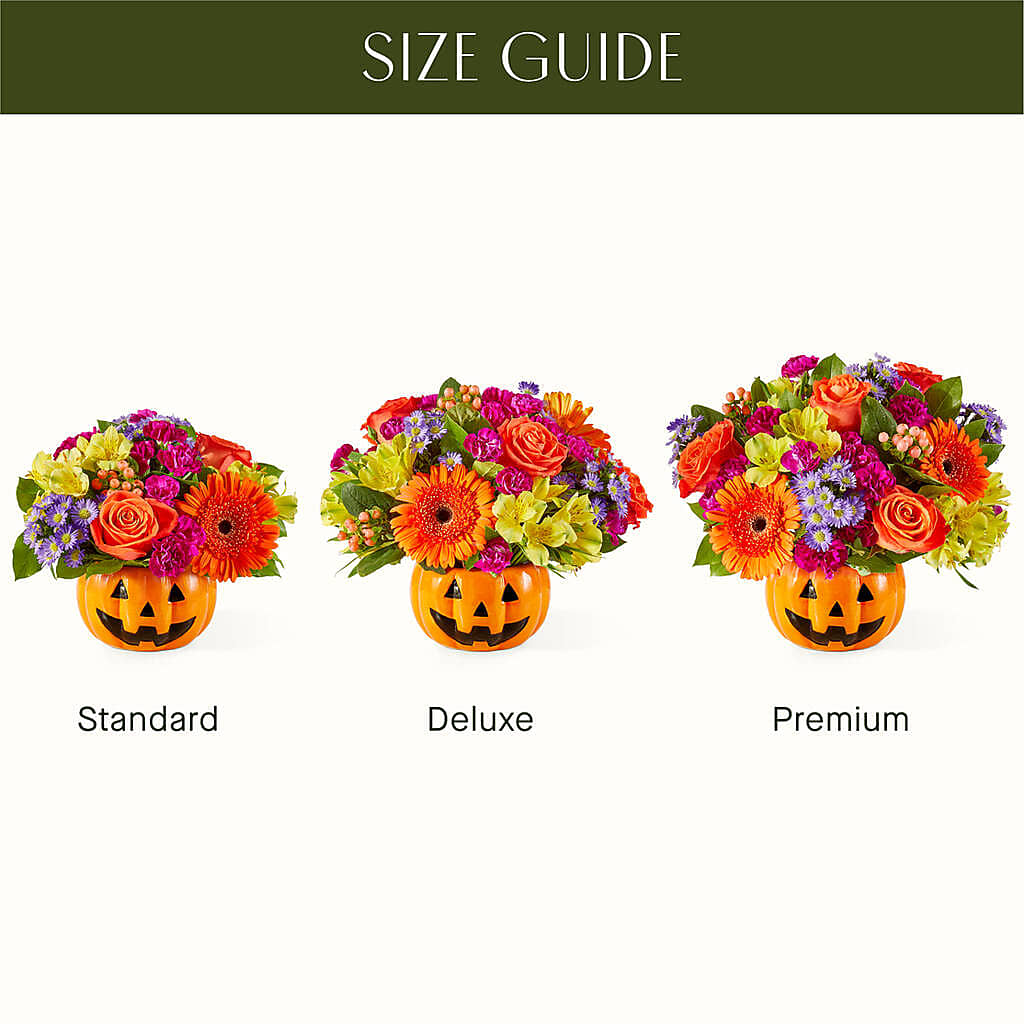 Tricks & Treats Pumpkin – ELLA'S ESSENCE LLC, Evanston IL