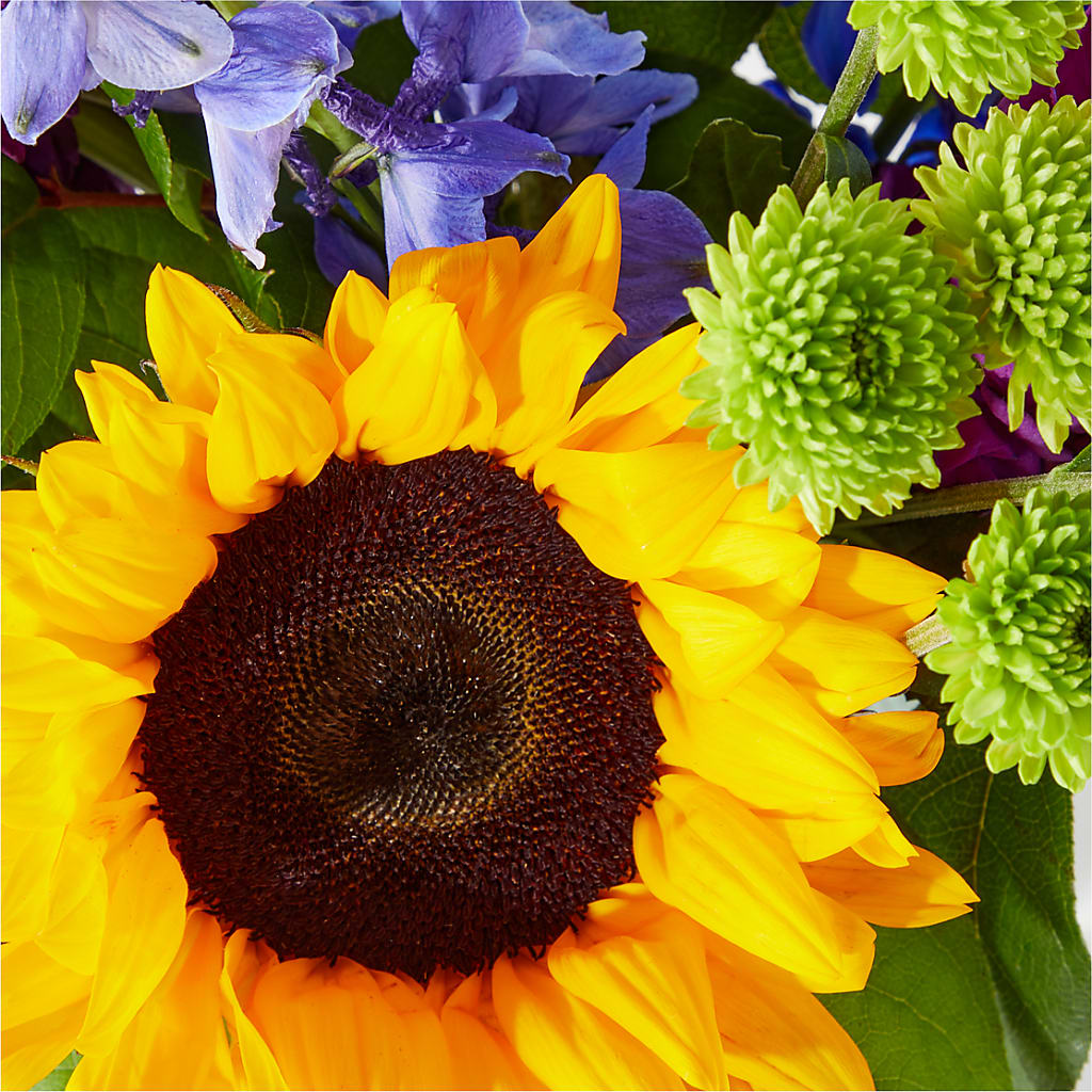 Catching Rays Bouquet – ELLA'S ESSENCE LLC, Evanston IL
