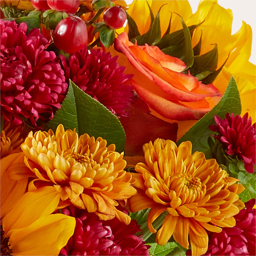 Sweater Season - A Florist Original – ELLA'S ESSENCE LLC, Evanston IL