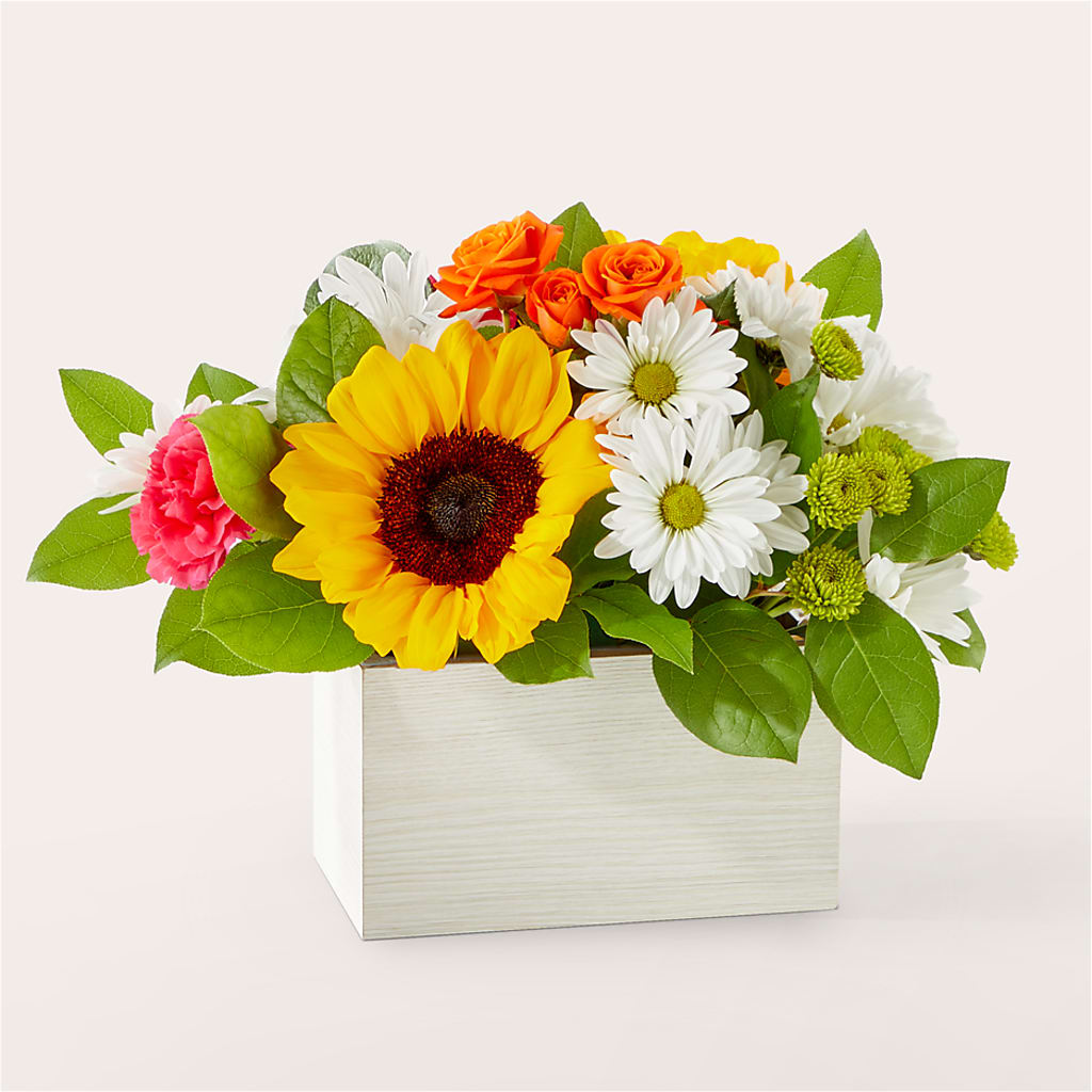 Sun-drenched Blooms Box Bouquet – ELLA'S ESSENCE LLC, Evanston IL