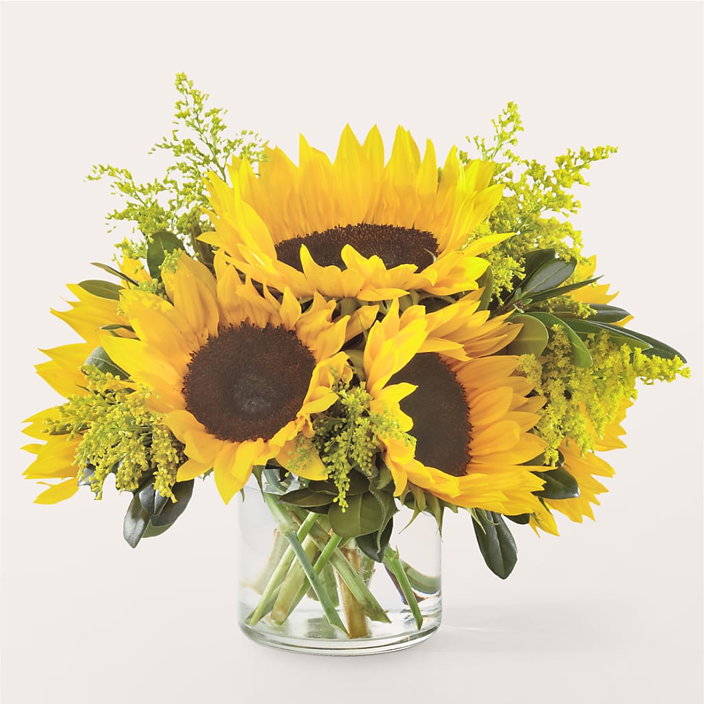 Beaming Sunflower Bouquet – ELLA'S ESSENCE LLC, Evanston IL