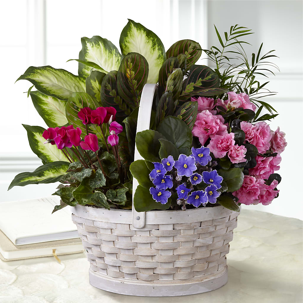 Peaceful Garden Planter – ELLA'S ESSENCE LLC, Evanston IL