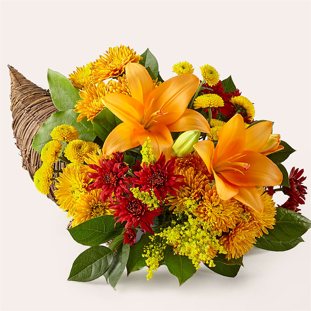 Feast of Color Cornucopia – ELLA'S ESSENCE LLC, Evanston IL
