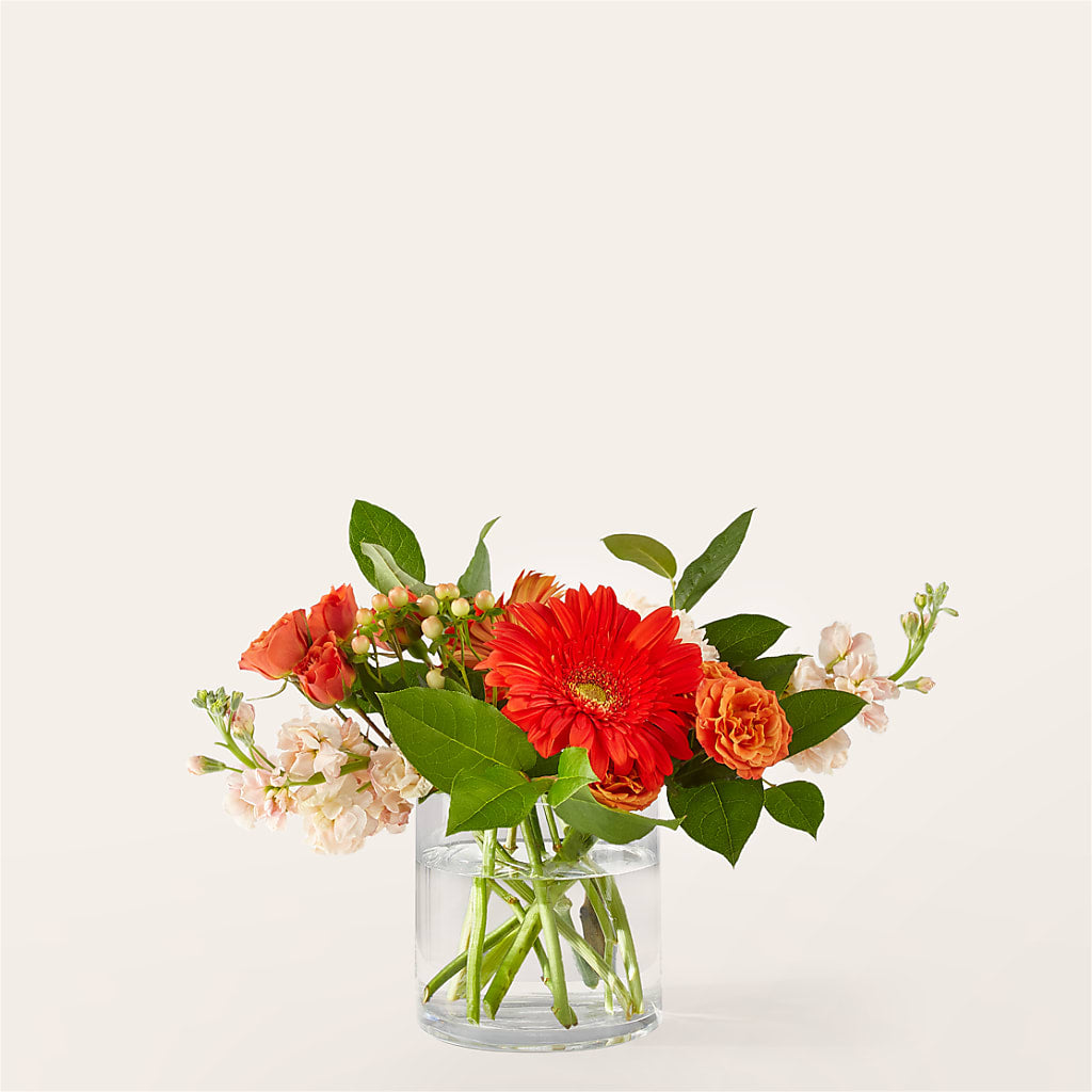 Paloma Please Bouquet – ELLA'S ESSENCE LLC, Evanston IL