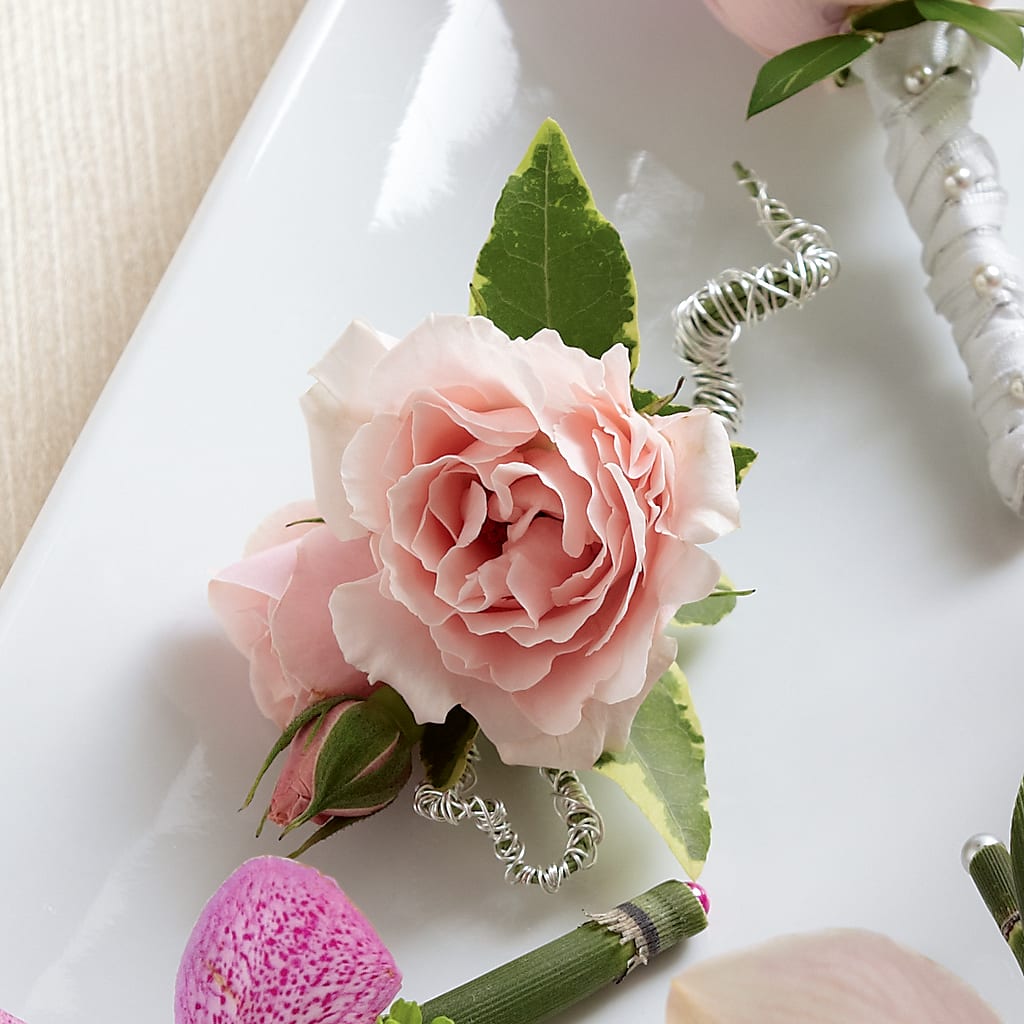 Pink Spray Rose Boutonniere – ELLA'S ESSENCE LLC, Evanston IL
