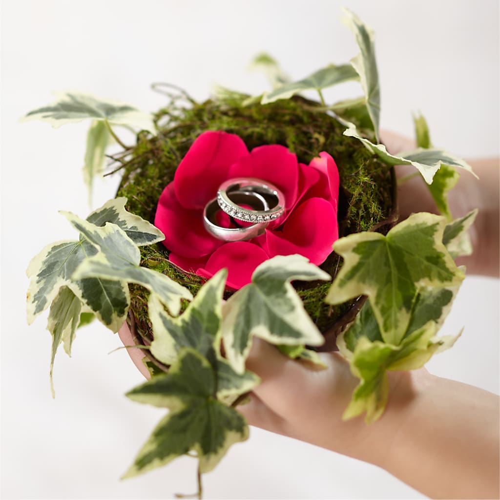 Lila Rose Ring Nest – ELLA'S ESSENCE LLC, Evanston IL