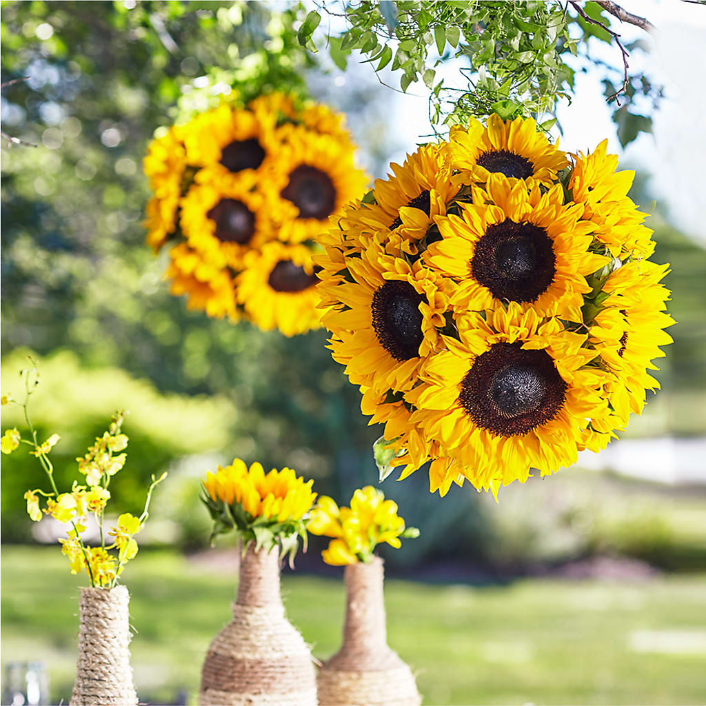 Sublime Garden Hanging Arrangement – ELLA'S ESSENCE LLC, Evanston IL