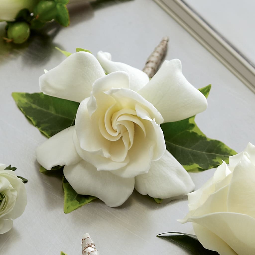 Gardenia Boutonniere – ELLA'S ESSENCE LLC, Evanston IL