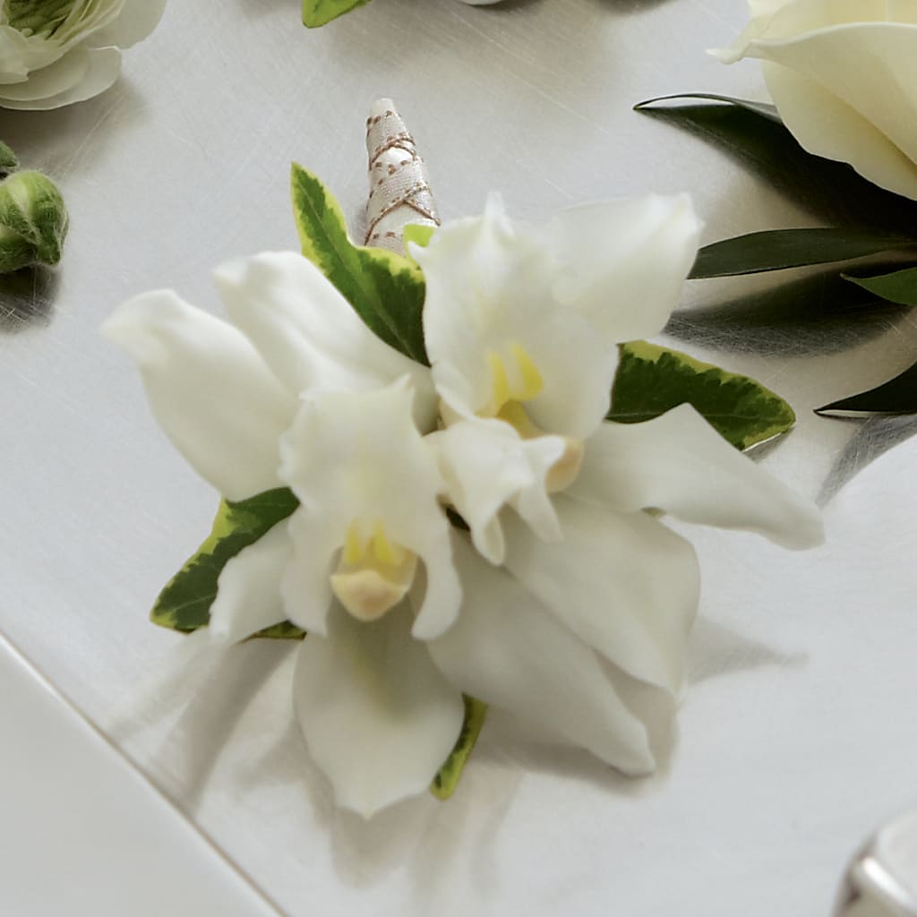 White Mini Cymbidium Boutonniere – ELLA'S ESSENCE LLC, Evanston IL