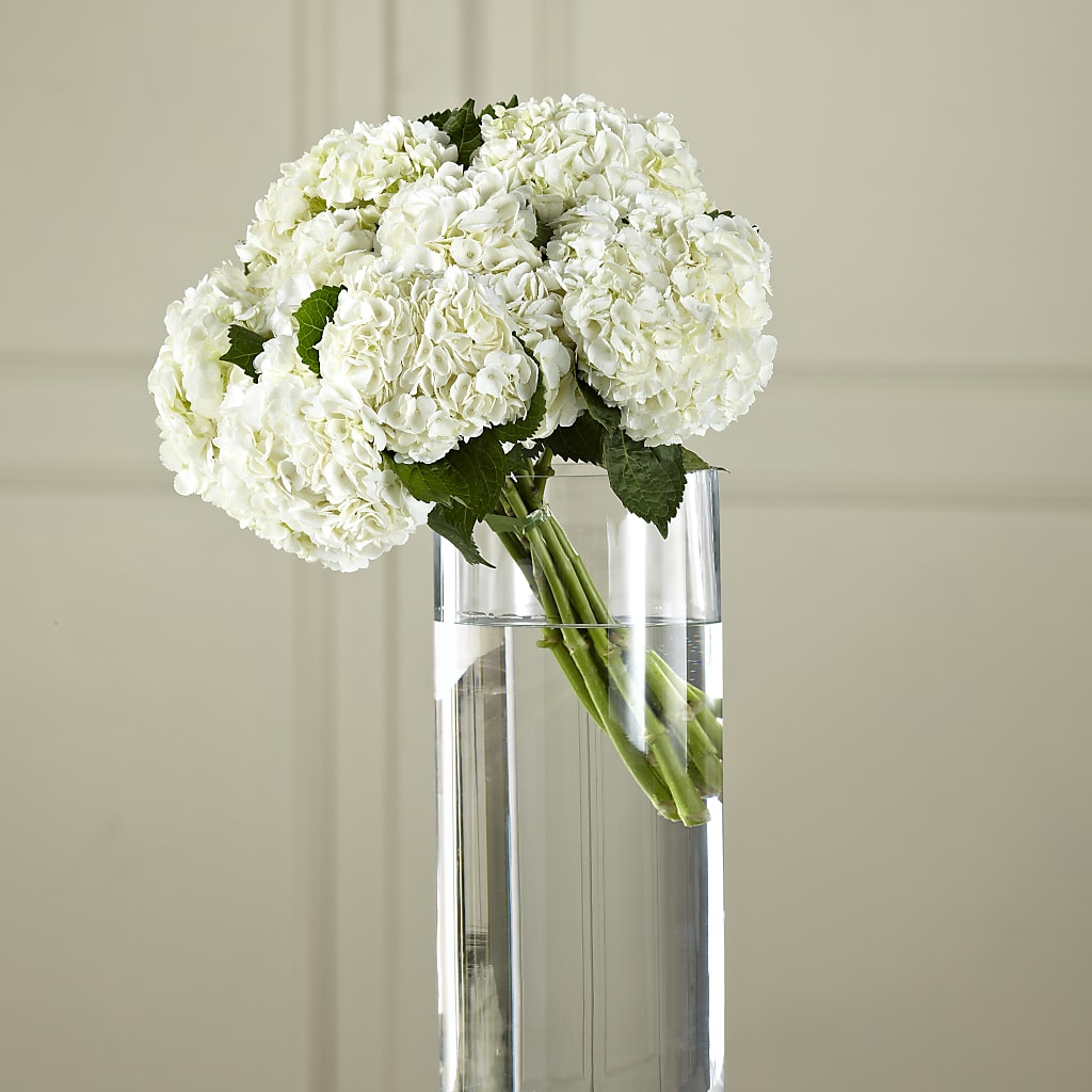 White Hydrangea Hand-Tied Bouquet – ELLA'S ESSENCE LLC, Evanston IL
