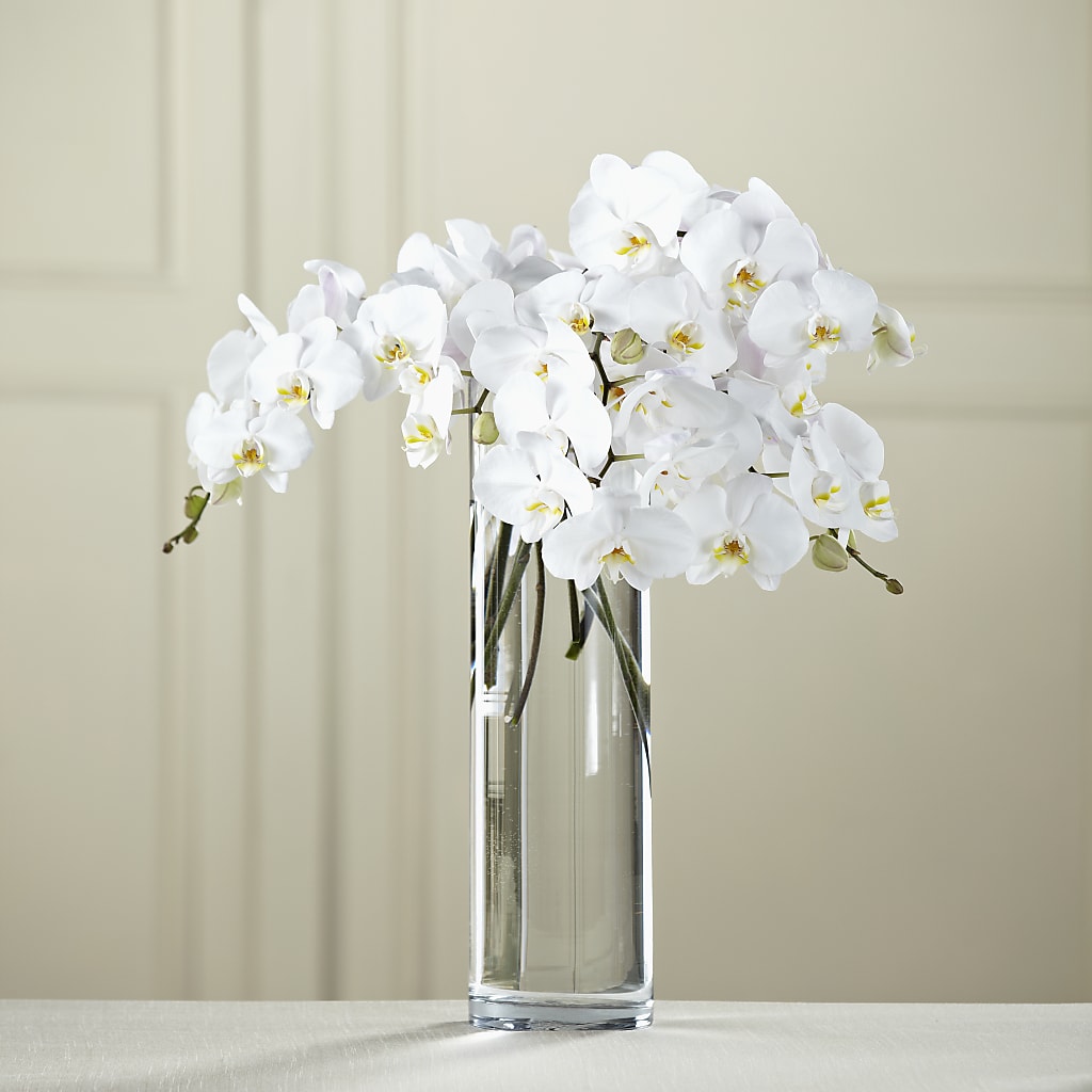 White Phalaenopsis Bouquet – ELLA'S ESSENCE LLC, Evanston IL