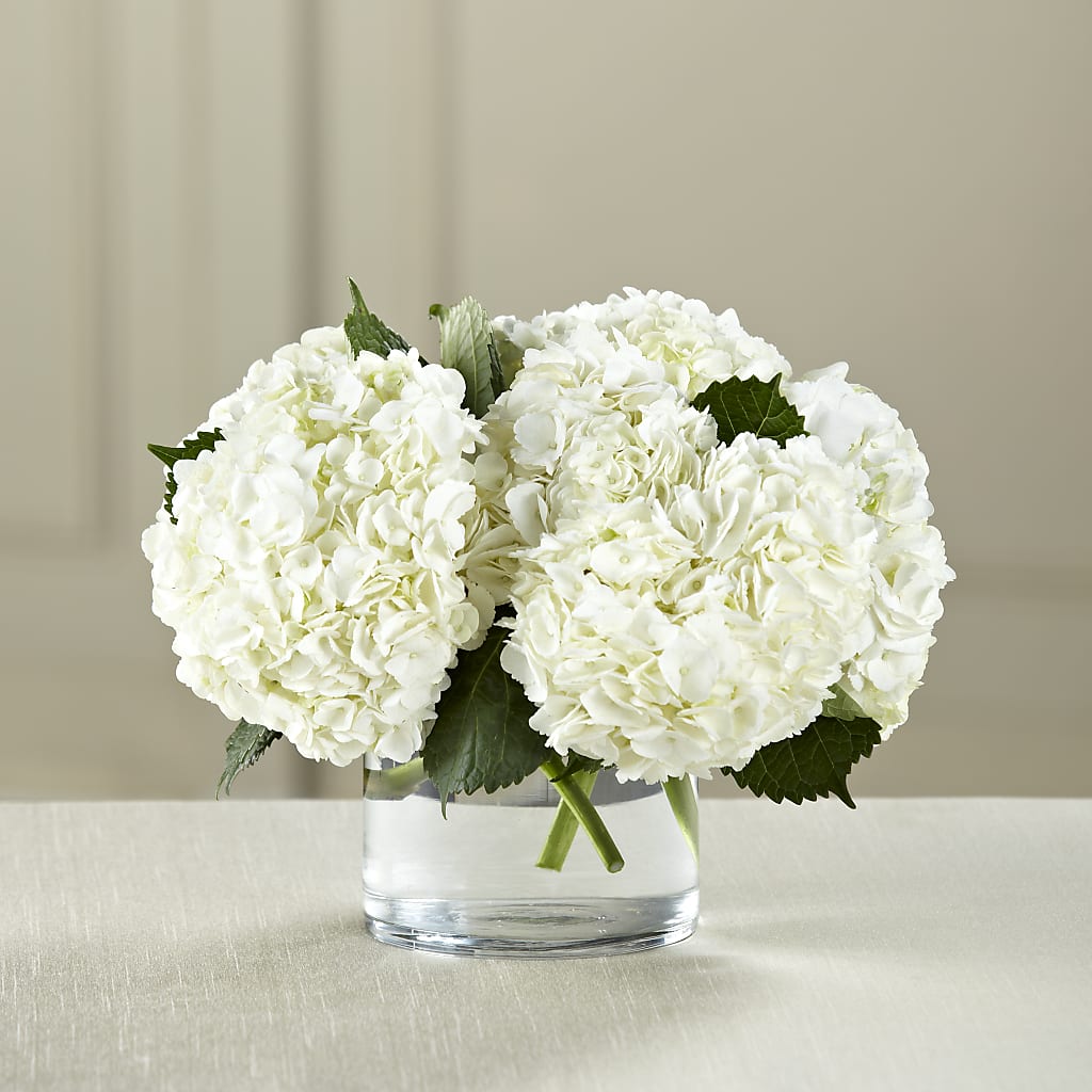 White Hydrangea Bouquet – ELLA'S ESSENCE LLC, Evanston IL