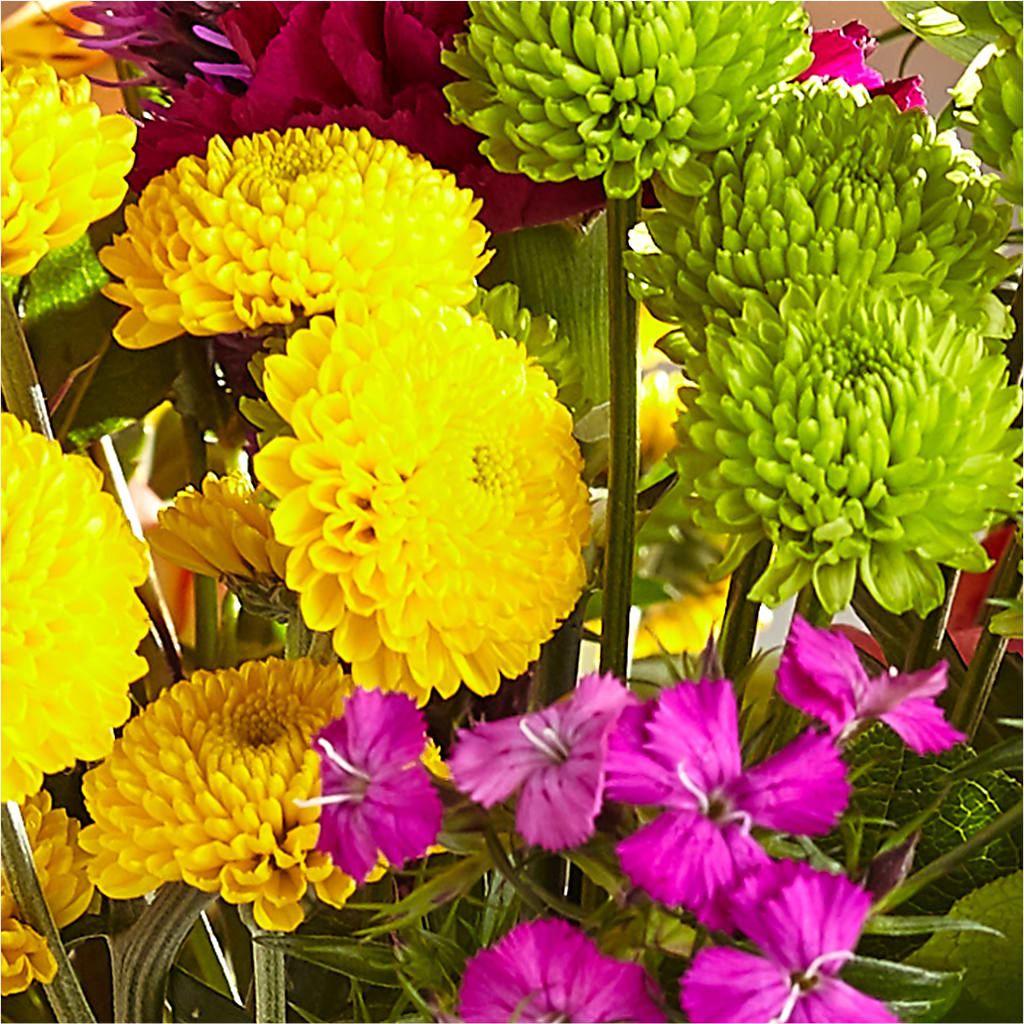 Bold & Bright – A Florist Original – ELLA'S ESSENCE LLC, Evanston IL
