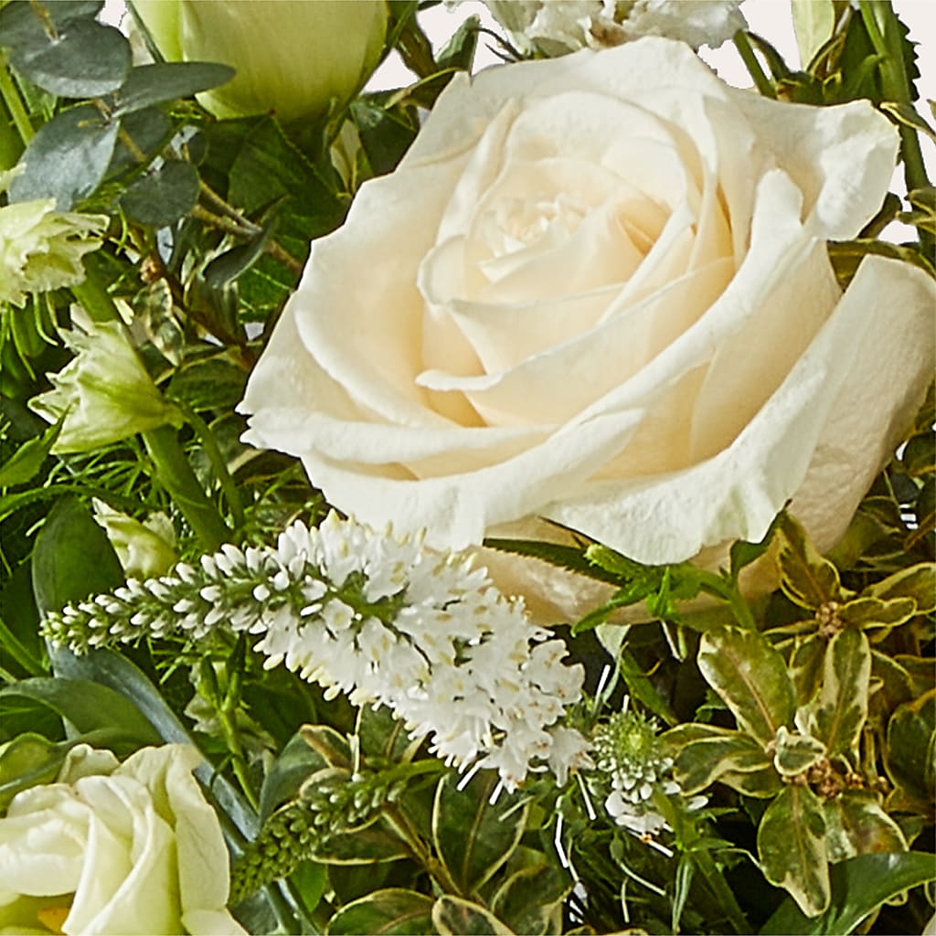 Cashmere Bouquet – ELLA'S ESSENCE LLC, Evanston IL