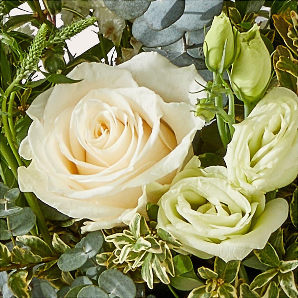Cashmere Bouquet – ELLA'S ESSENCE LLC, Evanston IL
