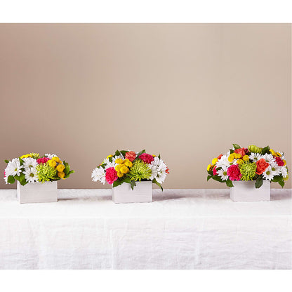 Sorbet Bouquet – ELLA'S ESSENCE LLC, Evanston IL