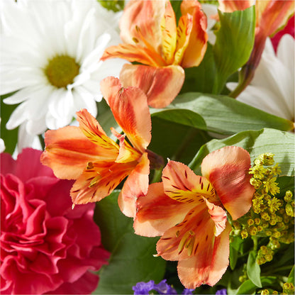 Oopsie Daisy Box Bouquet – ELLA'S ESSENCE LLC, Evanston IL