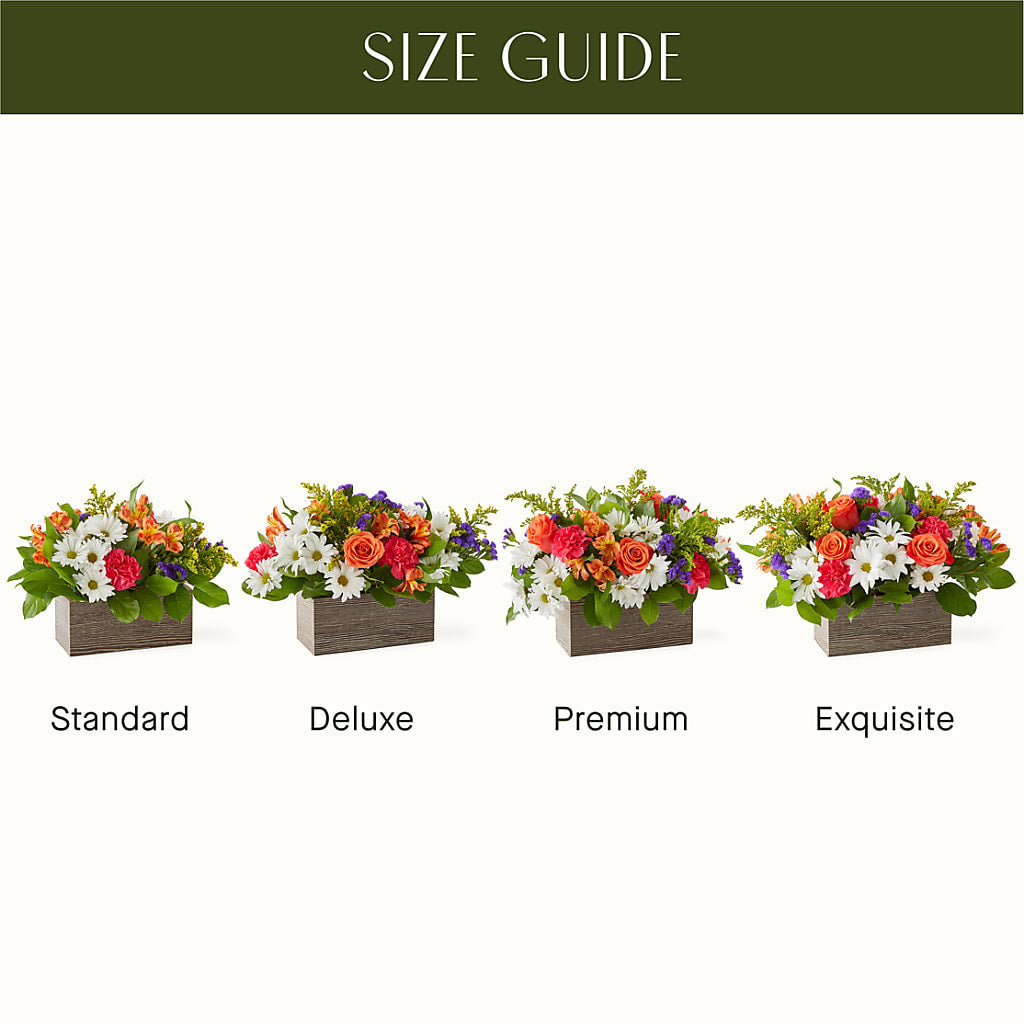 Oopsie Daisy Box Bouquet – ELLA'S ESSENCE LLC, Evanston IL