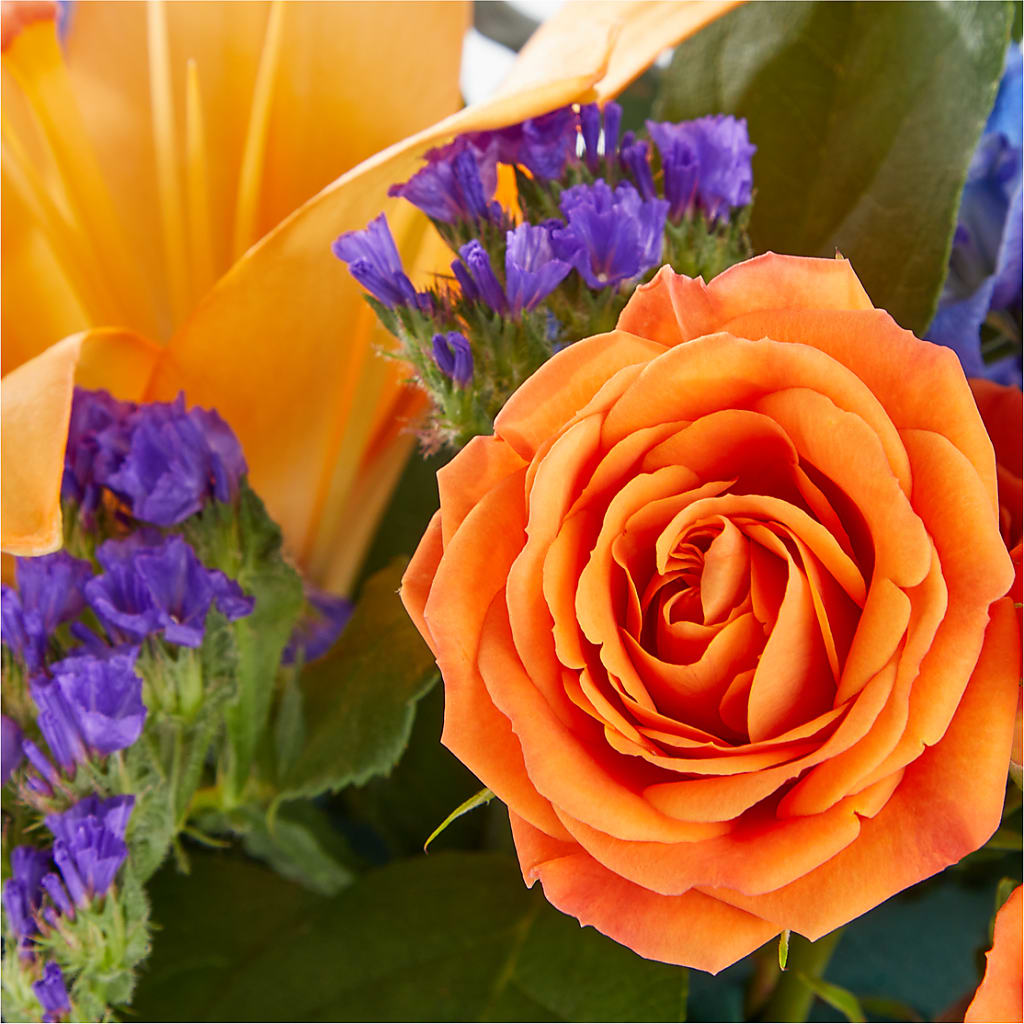 Radiant Citrus Box Bouquet – ELLA'S ESSENCE LLC, Evanston IL