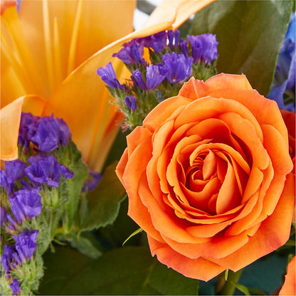 Radiant Citrus Box Bouquet – ELLA'S ESSENCE LLC, Evanston IL