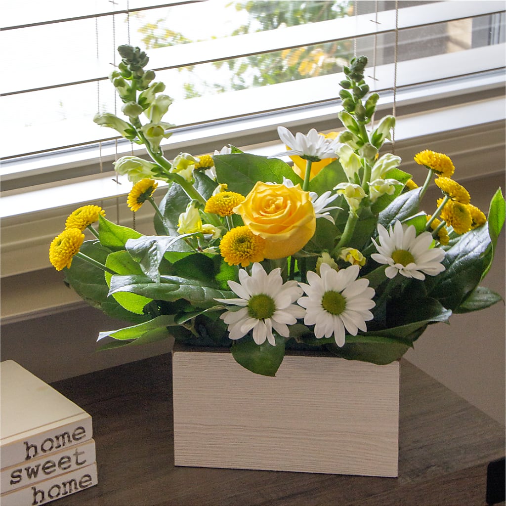 Sun Salutation Box Bouquet – ELLA'S ESSENCE LLC, Evanston IL