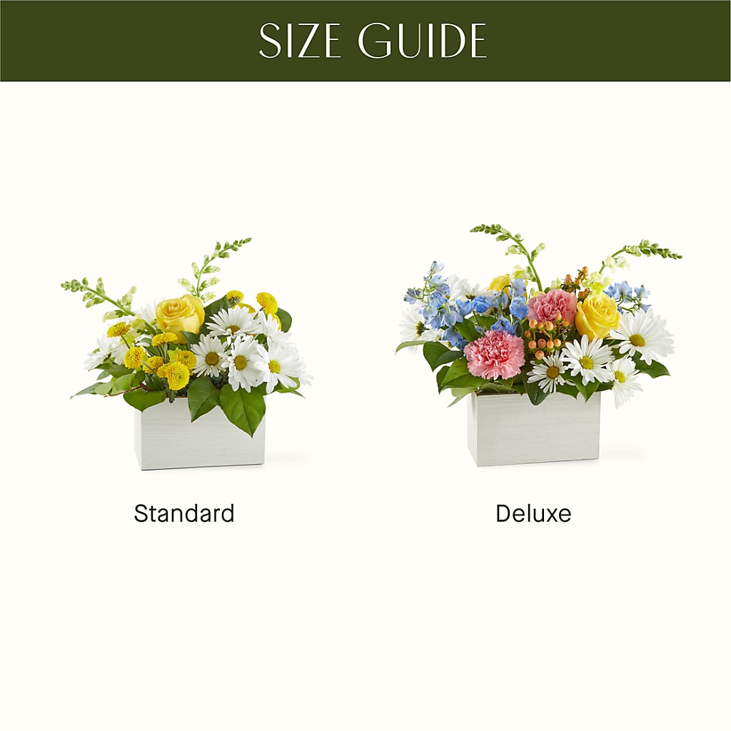Sun Salutation Box Bouquet – ELLA'S ESSENCE LLC, Evanston IL
