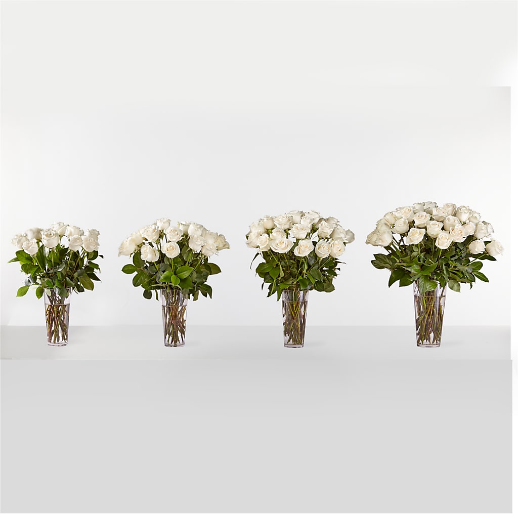 Long Stem White Rose Bouquet – ELLA'S ESSENCE LLC, Evanston IL