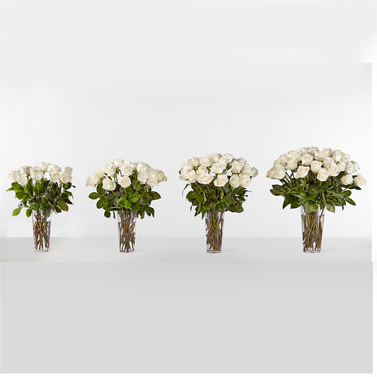 Long Stem White Rose Bouquet – ELLA'S ESSENCE LLC, Evanston IL