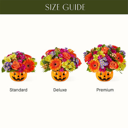 Tricks & Treats Pumpkin – ELLA'S ESSENCE LLC, Evanston IL