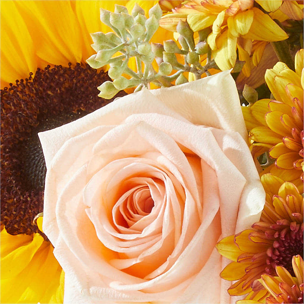 Pumpkin to Talk About Bouquet – ELLA'S ESSENCE LLC, Evanston IL