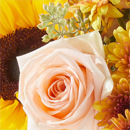 Pumpkin to Talk About Bouquet – ELLA'S ESSENCE LLC, Evanston IL
