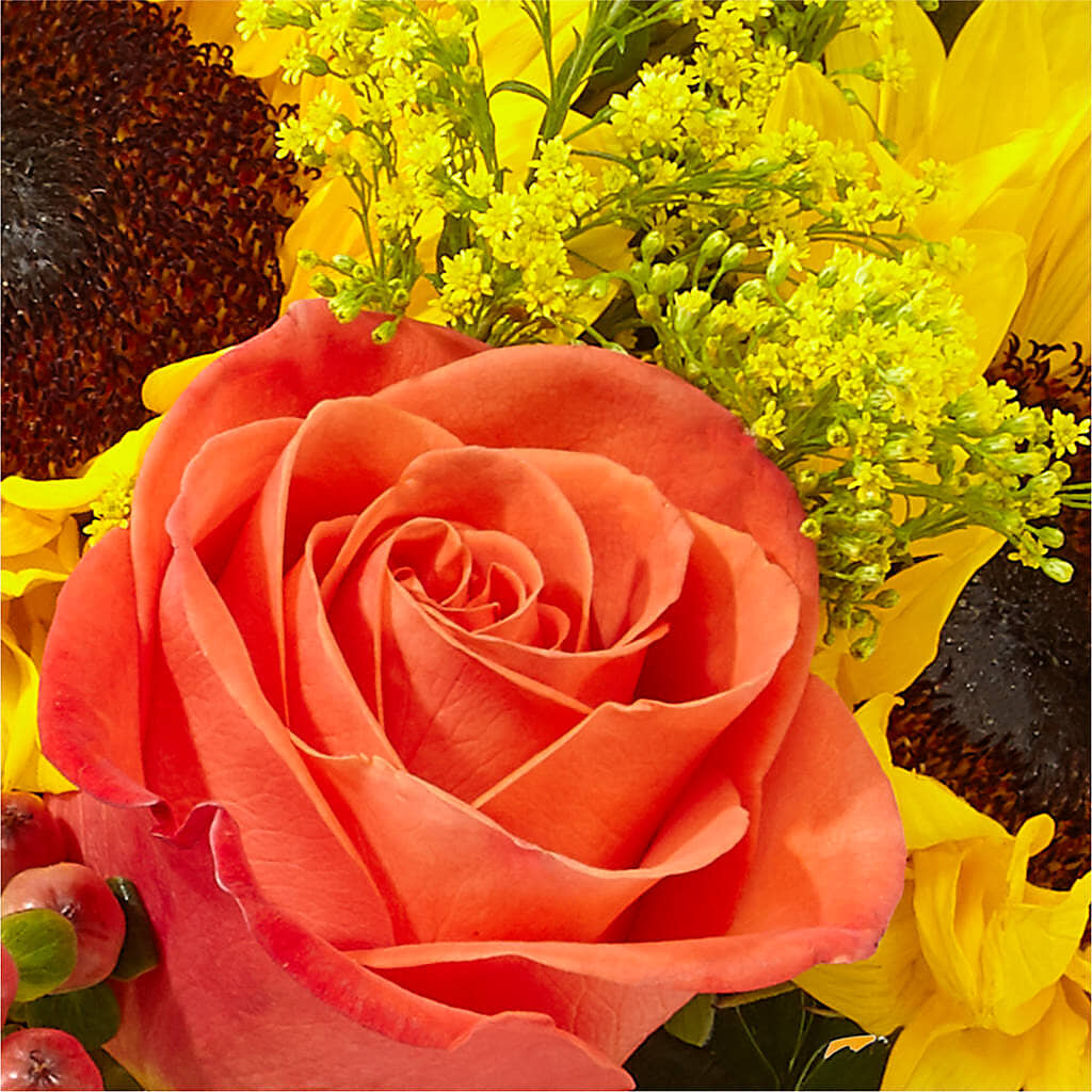 Pick of the Patch Pumpkin Bouquet – ELLA'S ESSENCE LLC, Evanston IL