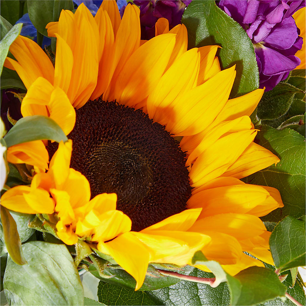 Catching Rays Bouquet – ELLA'S ESSENCE LLC, Evanston IL