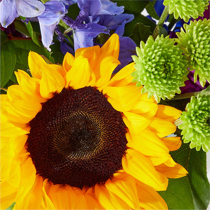 Catching Rays Bouquet – ELLA'S ESSENCE LLC, Evanston IL