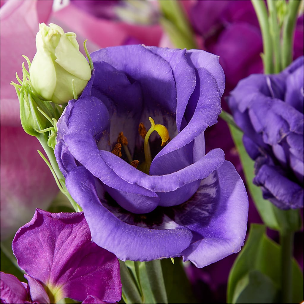 Twilight Glow Bouquet – ELLA'S ESSENCE LLC, Evanston IL