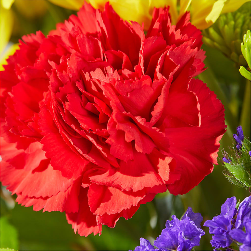 Brighter Days Bouquet – ELLA'S ESSENCE LLC, Evanston IL