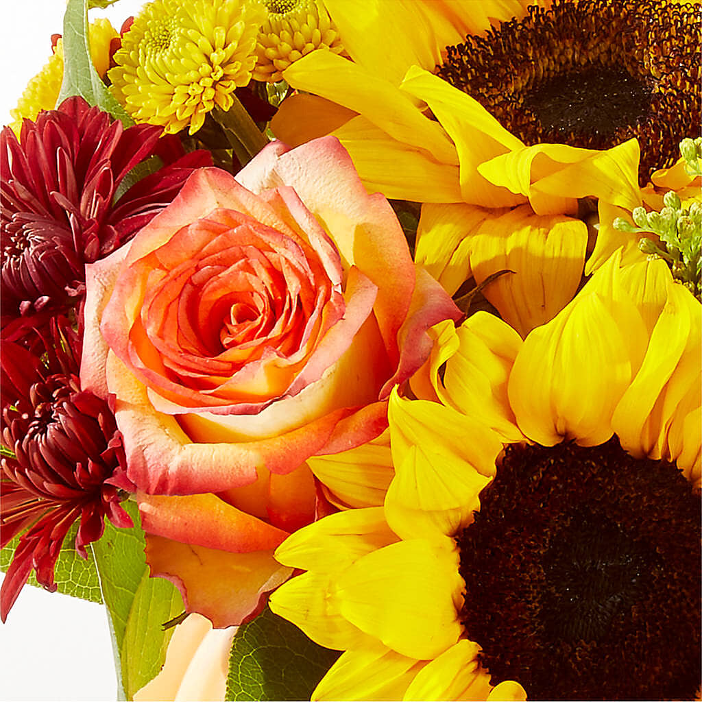 Golden Gourd Pumpkin Bouquet – ELLA'S ESSENCE LLC, Evanston IL
