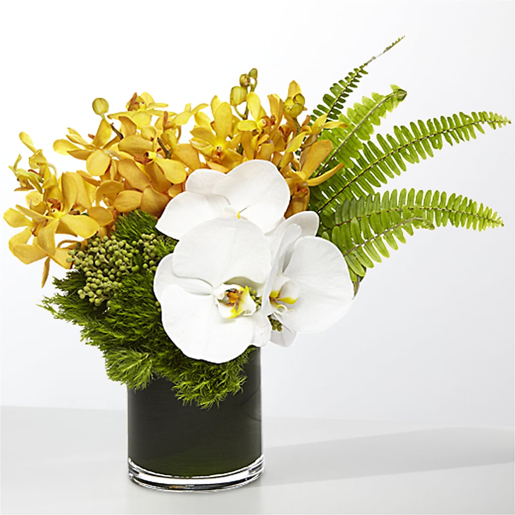The Tropics – ELLA'S ESSENCE LLC, Evanston IL