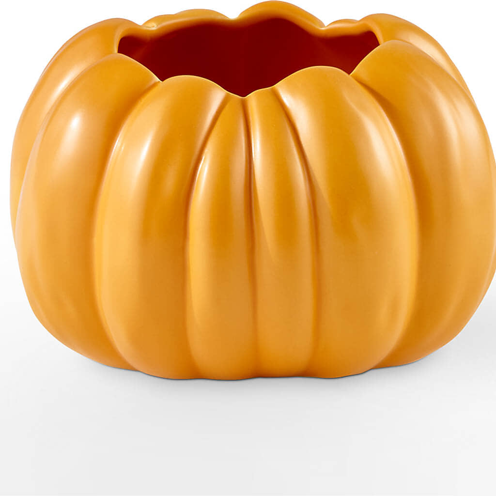 Pick of the Patch Pumpkin Bouquet – ELLA'S ESSENCE LLC, Evanston IL