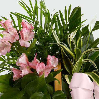 Living Spirit Dishgarden – ELLA'S ESSENCE LLC, Evanston IL