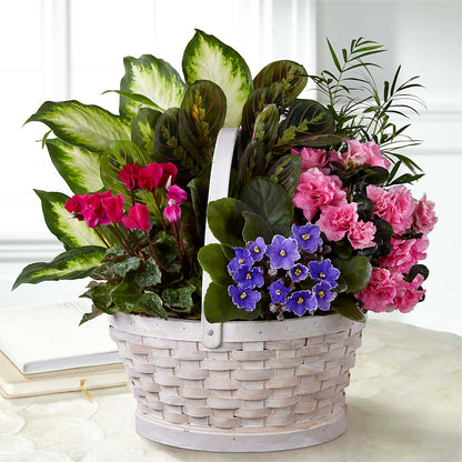 Peaceful Garden Planter – ELLA'S ESSENCE LLC, Evanston IL