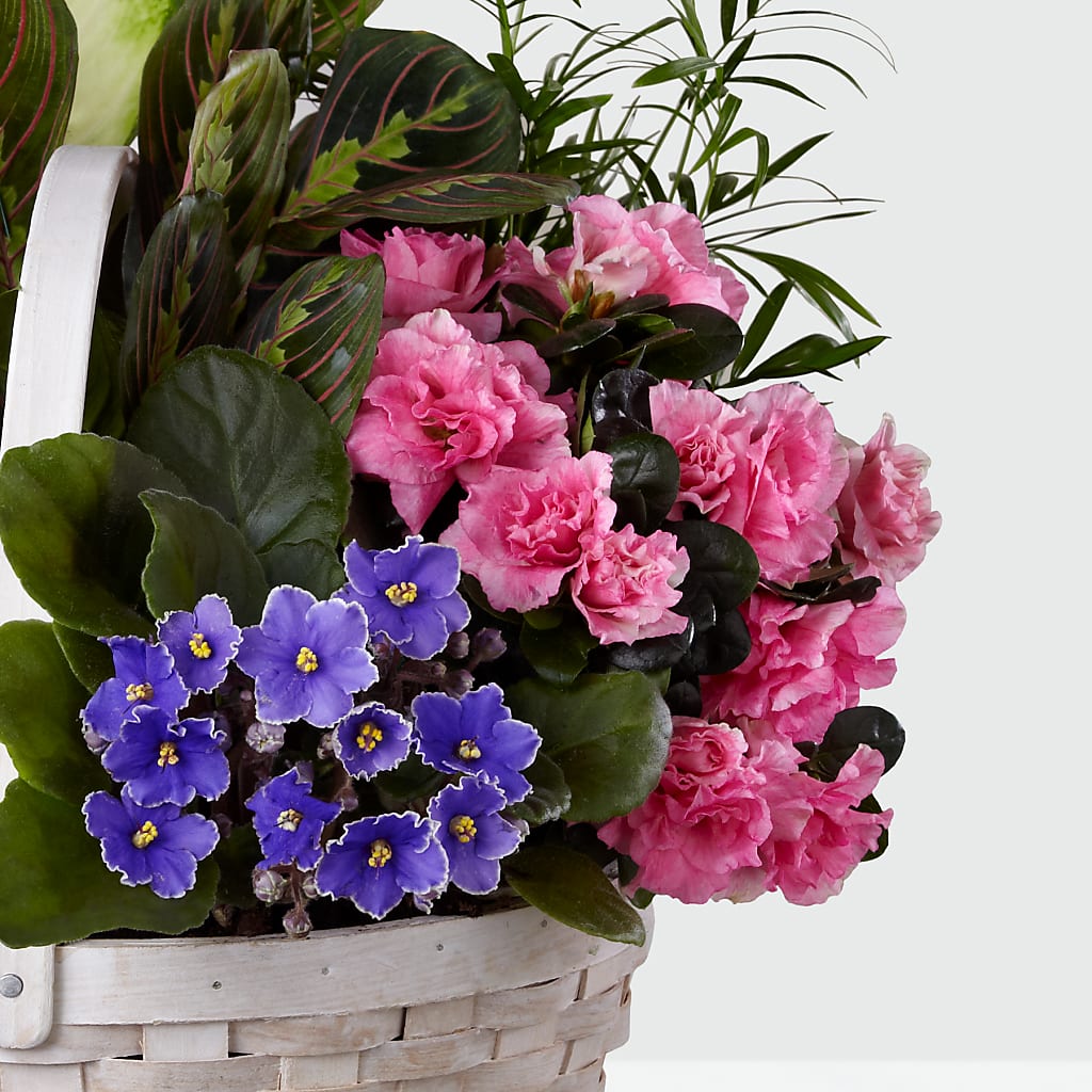 Peaceful Garden Planter – ELLA'S ESSENCE LLC, Evanston IL