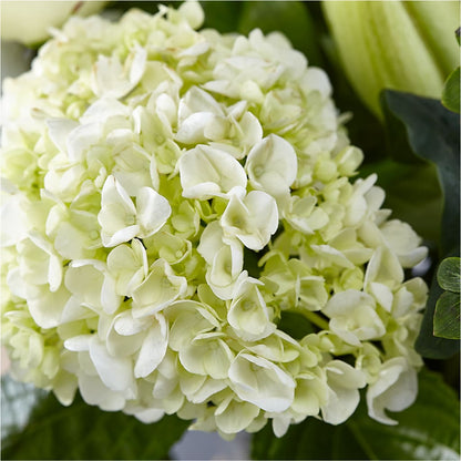 Classic Ivory – A Florist Original – ELLA'S ESSENCE LLC, Evanston IL