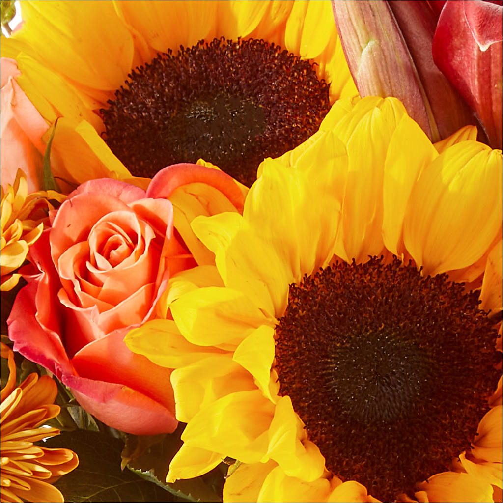 Acorn Lane Bouquet – ELLA'S ESSENCE LLC, Evanston IL