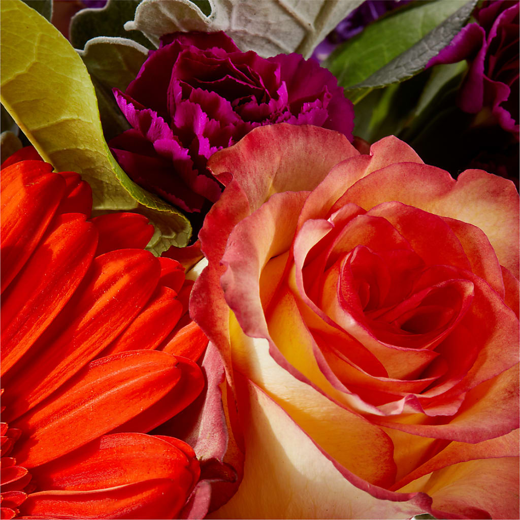 Sangria Bouquet – ELLA'S ESSENCE LLC, Evanston IL